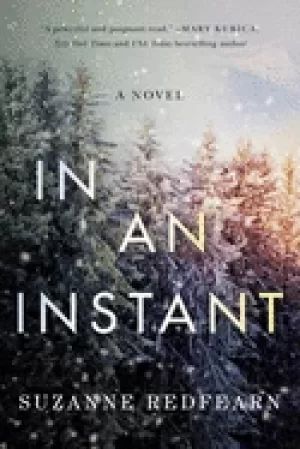 Image of in an instant