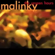 Image of The Unseen Hours