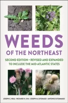 Image of Weeds of the Northeast