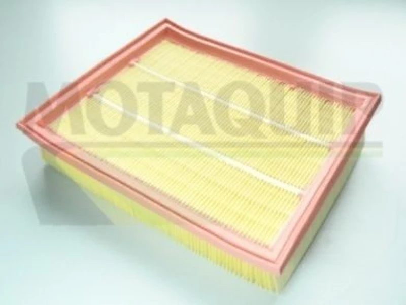 Image of MOTAQUIP Air filter MOTAQUIP VFA734