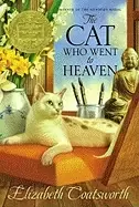Image of cat who went to heaven
