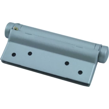 image of 100MM Single Action Spring Hinges Silver + Fittings-pr