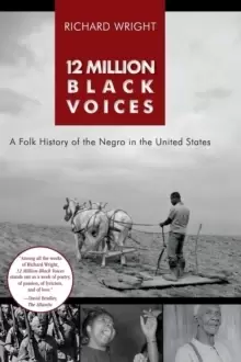 Image of 12 Million Black Voices