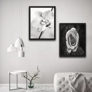 Image of Grey Flower Set Multicolor Decorative Framed Painting (2 Pieces)