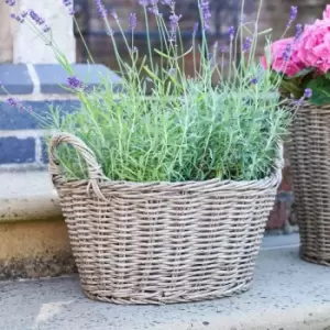 Image of Ivyline Polyrattan Lined 24 x 33cm Natural Basket Planter