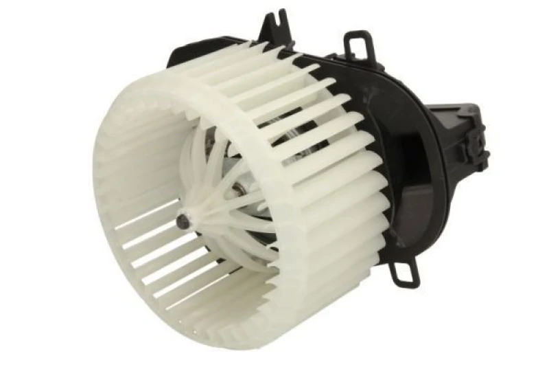 Image of THERMOTEC Blower motor THERMOTEC DDW017TT