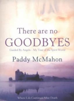 Image of There Are No Goodbyes by Paddy Mcmahon Paperback