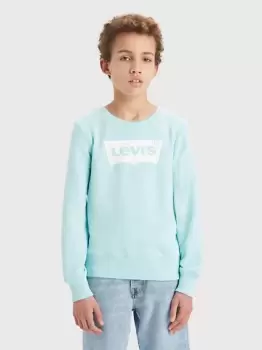 Image of Teenager French Terry Batwing Pullover - Green