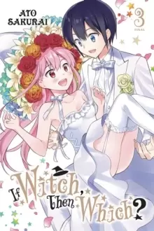 Image of If Witch, Then Which?, Vol. 3