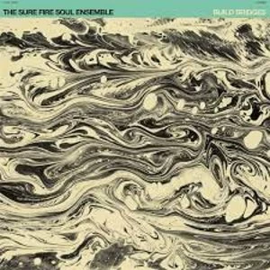 image of The Sure Fire Soul Ensemble - Build Bridges CD