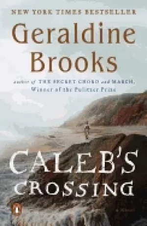 Image of calebs crossing a novel