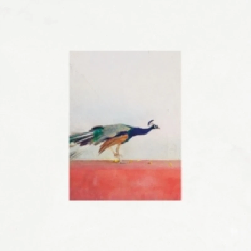 Image of Travellers CD / Album