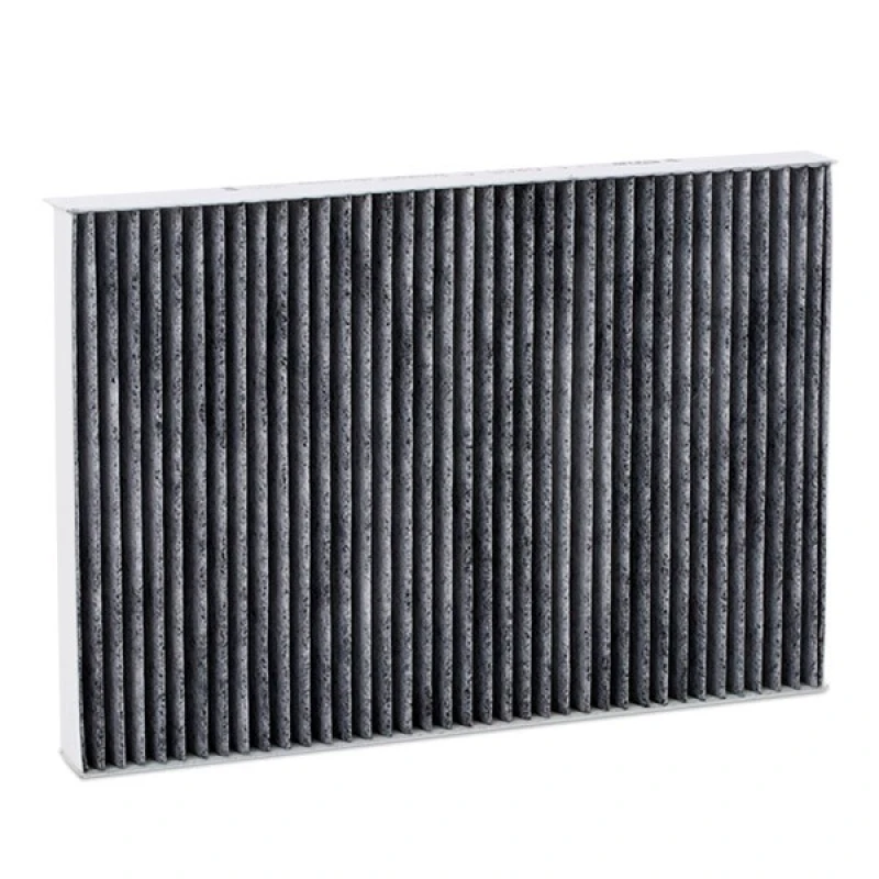 Image of Borsehung Pollen filter Borsehung B12800
