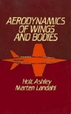 Image of aerodynamics of wings and bodies