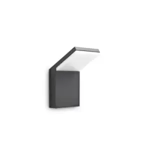 image of Style Integrated LED Outdoor Wall Lamp 1 Light Anthracite 3000K IP54