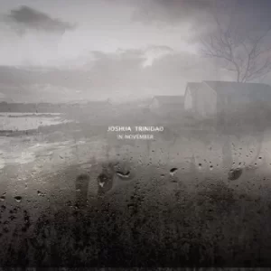Image of In November by Joshua Trinidad Vinyl Album
