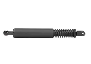 Image of RIDEX Tailgate strut BMW 219G0068 51248220072
