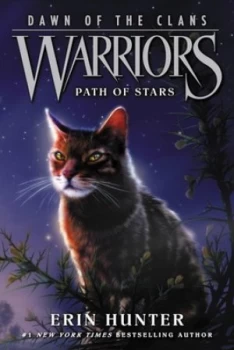 Image of Path of stars by Erin Hunter