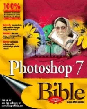 Image of photoshop 7 bible