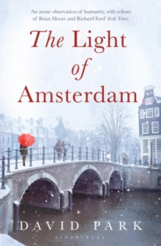 Image of The Light of Amsterdam by David Park Paperback