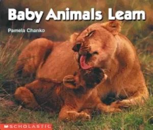 Image of baby animals learn