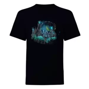 Image of Harry Potter Mens Hogwarts Wireframe T-Shirt (XXL) (Black)