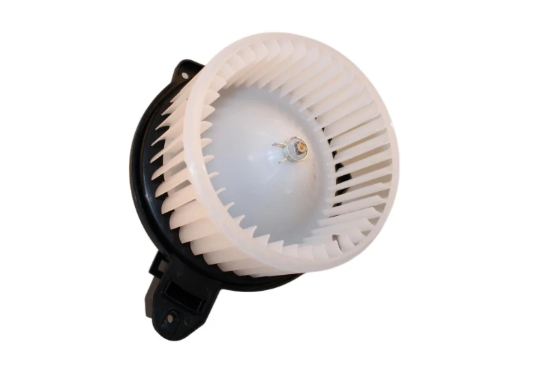 Image of Blower motor WALKER WBL00637