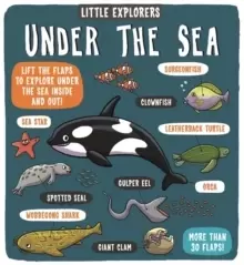Image of Little Explorers: Under the Sea