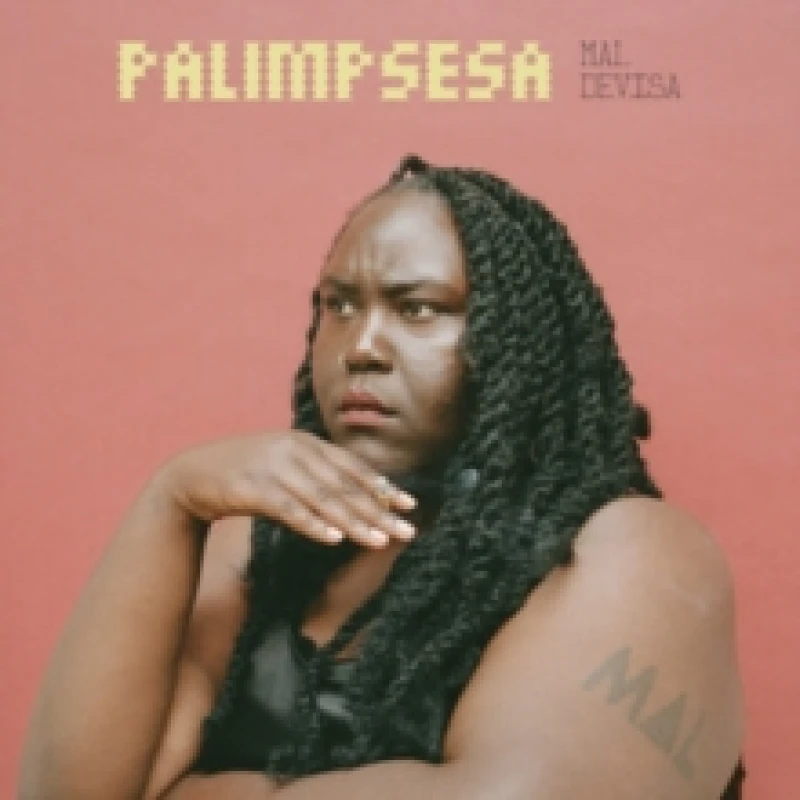 Image of Palimpsesa Vinyl