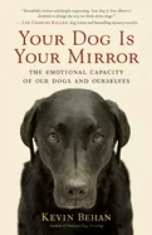 Image of your dog is your mirror