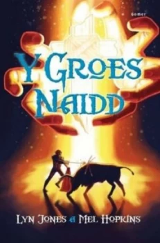 Image of Y Groes Naidd by Lyn Jones Book