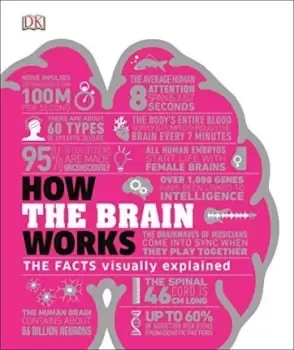 Image of How the Brain Works by DK