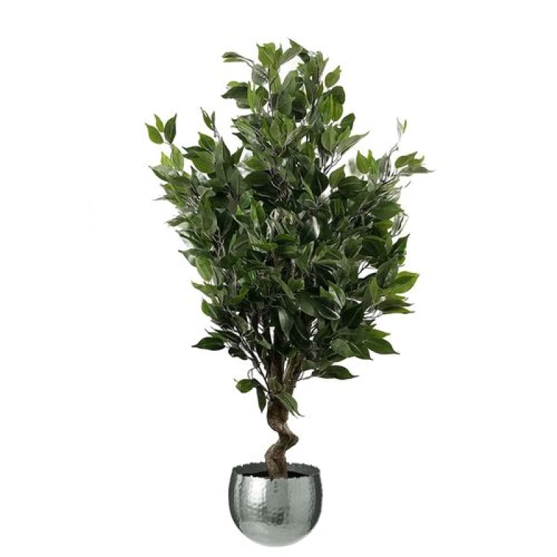 Image of Leaf 110cm Artificial Evergreen Ficus Tree Silver Curve Planter Green