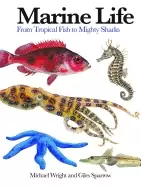 Image of marine life from tropical fish to mighty sharks