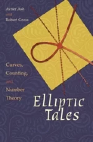 Image of elliptic tales curves counting and number theory