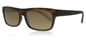 image of Serengeti Rapallo Sunglasses Dark Tortoise 8367 Polariserade 54mm