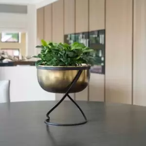 Image of Ivyline Indoor Kensington Brass Metal Round Planter On Stand - H30Cm X W28Cm