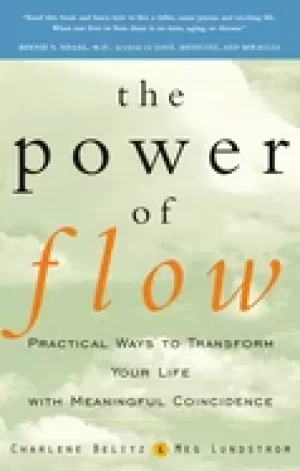 Image of power of flow practical ways to transform your life with meaningful coincid
