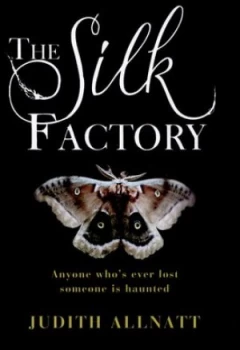 Image of The Silk Factory by Judith Allnatt Hardback