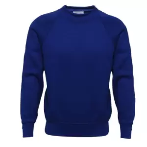 image of Absolute Apparel Childrens/Kids Sterling Sweat (7-8 Years (128cm)) (Royal)