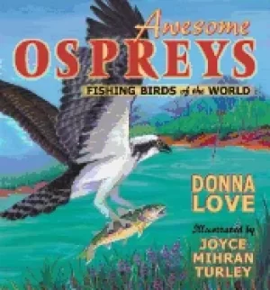 Image of awesome ospreys fishing birds of the world