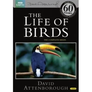 Image of Life Of Birds DVD