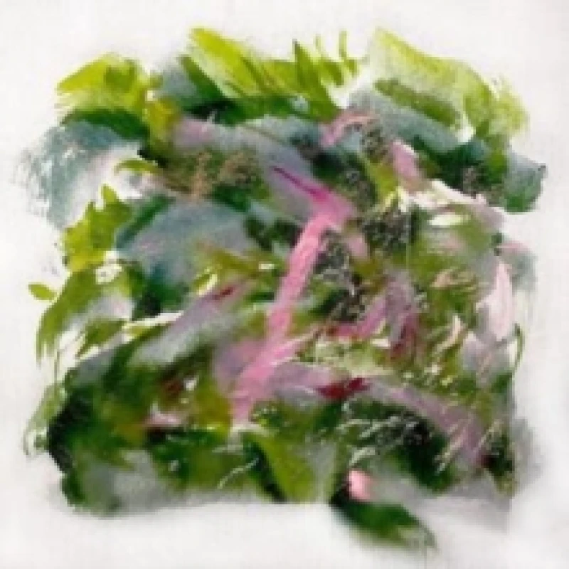 Image of Forest Scenes Vinyl