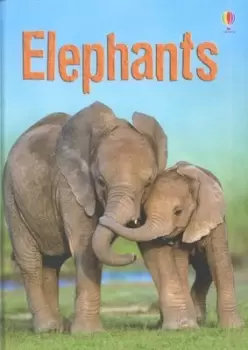 Image of Elephants by James Maclaine