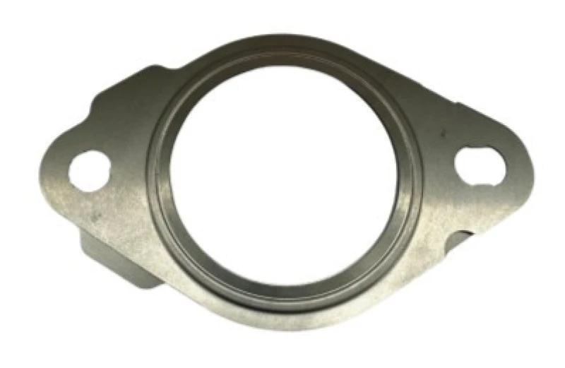 Image of Exhaust pipe gasket VEGAZ FD-191
