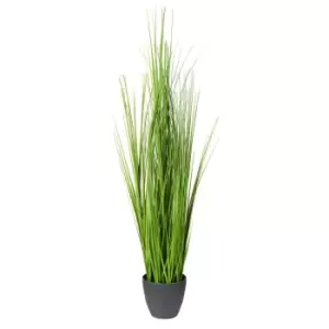 image of The Outdoor Living Company 120cm Grass in Plastic Pot