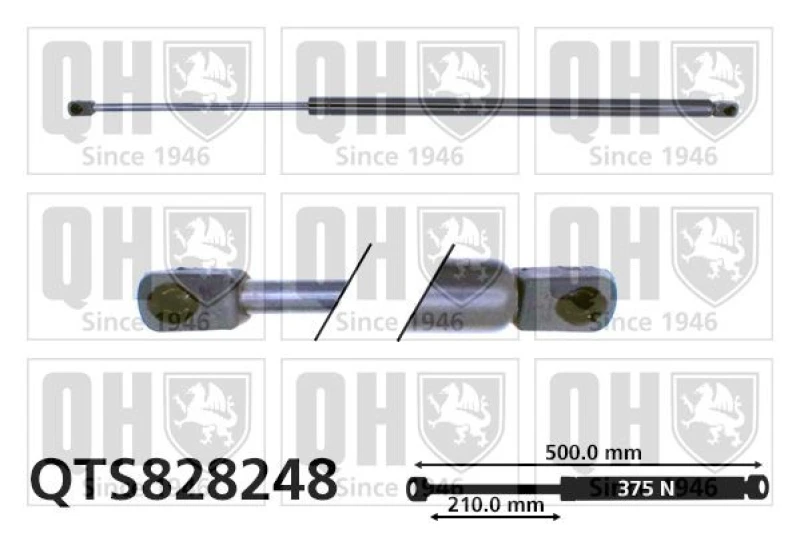 Image of QUINTON HAZELL Tailgate strut QUINTON HAZELL QTS828248