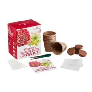 Image of Thompson & Morgan Thompson and Morgan Stunning Succulents Growing Kit x 1