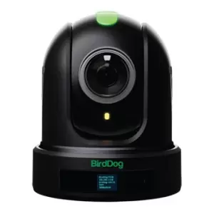 image of BirdDog P110 NDI PTZ Camera (Black)