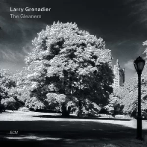 Image of The Gleaners by Larry Grenadier CD Album